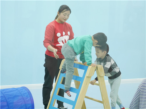 1560149191972148.jpg P1040001.jpg